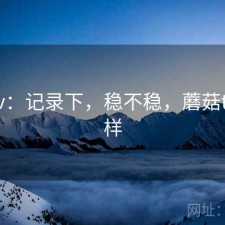 蘑菇tv：记录下，稳不稳，蘑菇tv怎么样