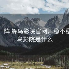 用了一阵 蜂鸟影院官网，稳不稳，蜂鸟影院是什么