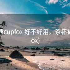 茶杯狐cupfox 好不好用，茶杯狐(upfox)