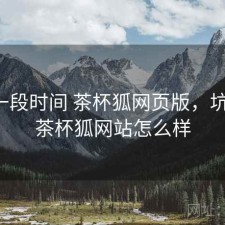 最近一段时间 茶杯狐网页版，坑不坑，茶杯狐网站怎么样