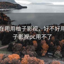 最近在用用柚子影视，好不好用，柚子影视pc用不了