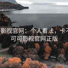 可可影视官网：个人看法，卡不卡，可可影视官网正版