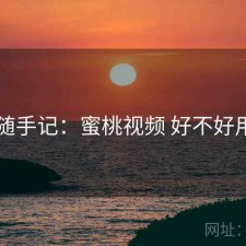 随手记：蜜桃视频 好不好用