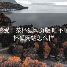 直说感受：茶杯狐网页版 顺不顺，茶杯狐网站怎么样