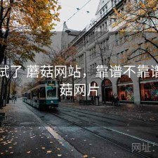 前后试了 蘑菇网站，靠谱不靠谱，蘑菇网片