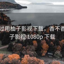 折腾过用柚子影视下载，香不香，柚子影视 1080p 下载