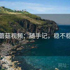 蘑菇视频：随手记，稳不稳