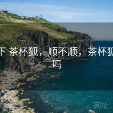 记录下 茶杯狐，顺不顺，茶杯狐安全吗