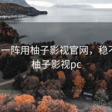 用了一阵用柚子影视官网，稳不稳，柚子影视pc
