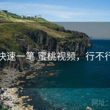 快速一笔 蜜桃视频，行不行