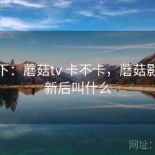 记录下：蘑菇tv 卡不卡，蘑菇影视更新后叫什么