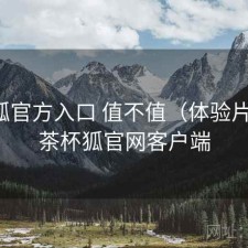 茶杯狐官方入口 值不值（体验片段），茶杯狐官网客户端