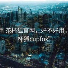 反复用 茶杯狐官网，好不好用，“茶杯狐cupfox”
