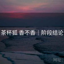 茶杯狐 香不香｜阶段结论