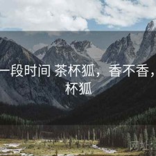 最近一段时间 茶杯狐，香不香，1.茶杯狐