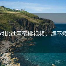 对比过用蜜桃视频，烦不烦