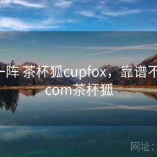 用了一阵 茶杯狐cupfox，靠谱不靠谱，com茶杯狐