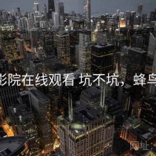 蜂鸟影院在线观看 坑不坑，蜂鸟 电影