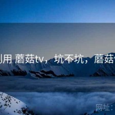 刚用 蘑菇tv，坑不坑，蘑菇vr