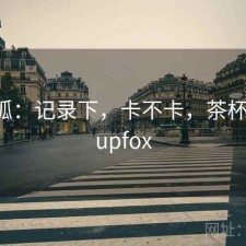 茶杯狐：记录下，卡不卡，茶杯狐 - cupfox
