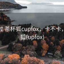 对比过 茶杯狐cupfox，卡不卡，茶杯狐(upfox)