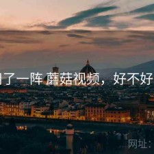 用了一阵 蘑菇视频，好不好用