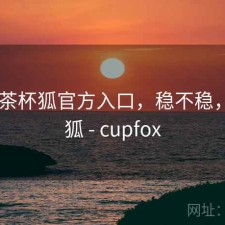 短评 茶杯狐官方入口，稳不稳，茶杯狐 - cupfox