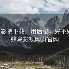 蜂鸟影院下载：用后记，好不好用，蜂鸟影视网页官网