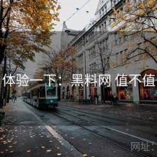 体验一下：黑料网 值不值
