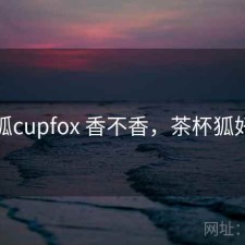 茶杯狐cupfox 香不香，茶杯狐好用吗