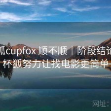 茶杯狐cupfox 顺不顺｜阶段结论，茶杯狐努力让找电影更简单