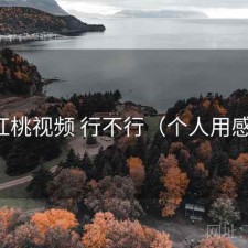 红桃视频 行不行（个人用感）