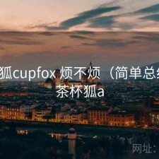 茶杯狐cupfox 烦不烦（简单总结），茶杯狐a