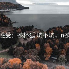 直说感受：茶杯狐 坑不坑，n茶杯狐