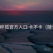 茶杯狐官方入口 卡不卡（随记）