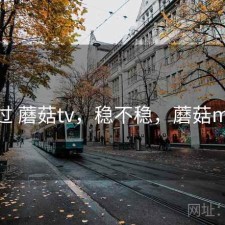 折腾过 蘑菇tv，稳不稳，蘑菇mv521