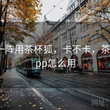 用了一阵用茶杯狐，卡不卡，茶杯狐app怎么用