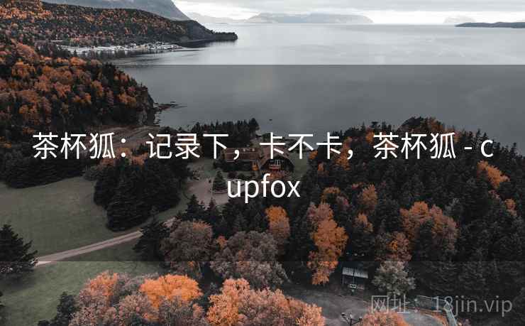 茶杯狐：记录下，卡不卡，茶杯狐 - cupfox  第2张