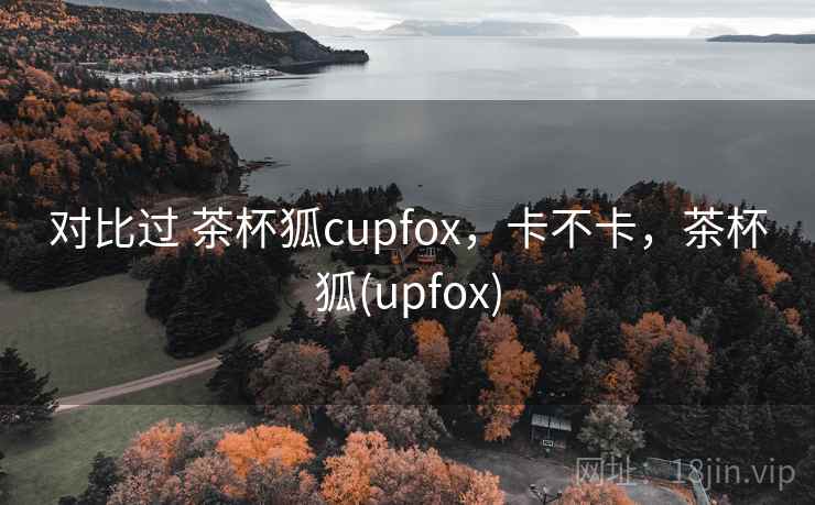 对比过 茶杯狐cupfox,卡不卡,茶杯狐(upfox) 第1张 对比过 茶杯狐cupfox,卡不卡,茶杯狐(upfox) 第1张